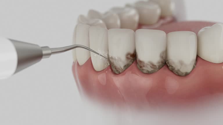Reliable Dental contractor in Hutto, TX by Dentist Open Now